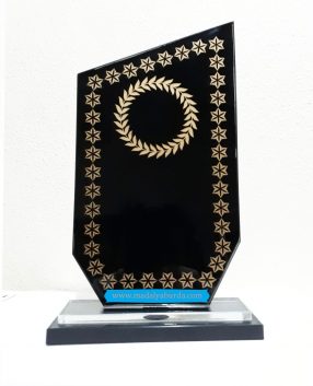 cam-kristal-plaket-örnekleri-nelerdir